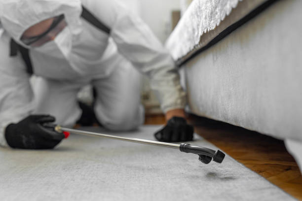 Professional Cockroach Control technician working in Central Point, OR